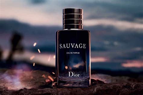 düfte wie dior sauvage|Dior Sauvage fragrance.